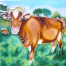 Guernsey Cow